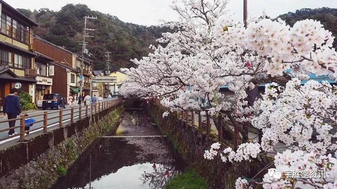 寻找游玩的地方,寻找旅游景点大全