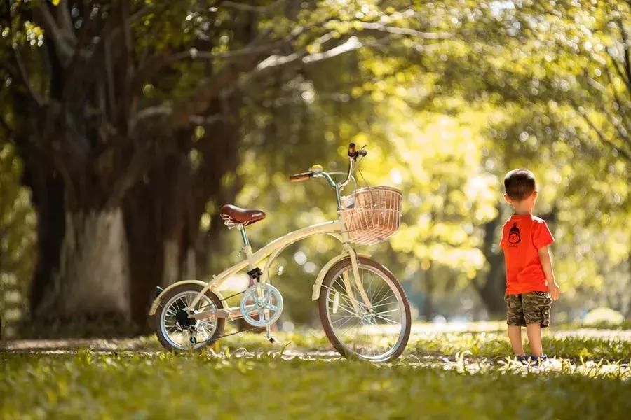11枚恐龙蛋被9岁小孩发现,10岁男孩发现4亿年前化石视频