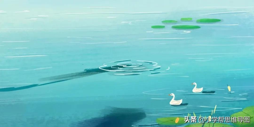 我为足球狂作文800字,我为足球狂作文