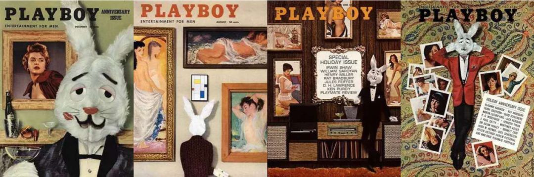 鑺辫姳鍏瓙鍋滃垔,鑺辫姳鍏瓙鏉傚織鍋滃垔