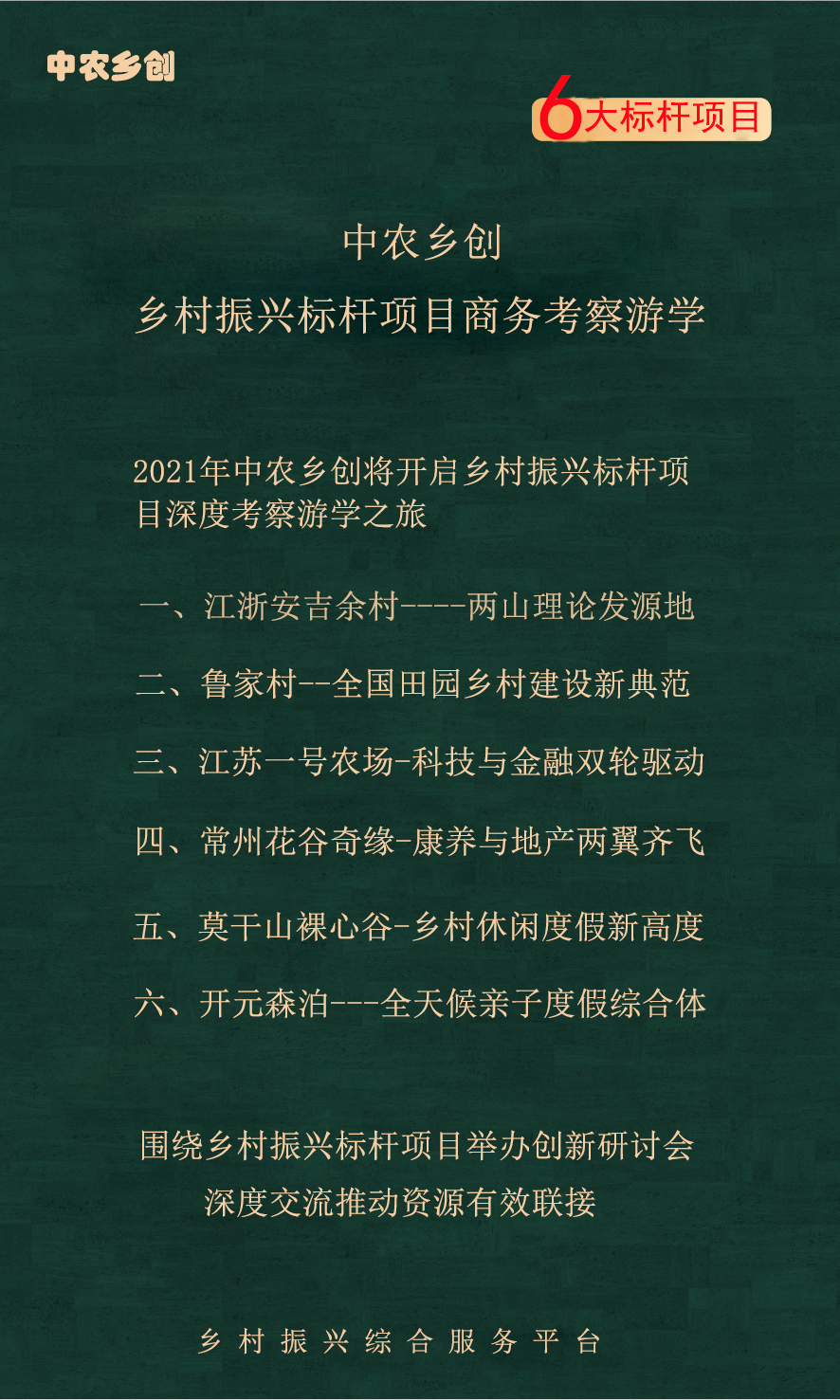 乡村振兴搞什么项目能挣钱,搞乡村振兴的真实目的