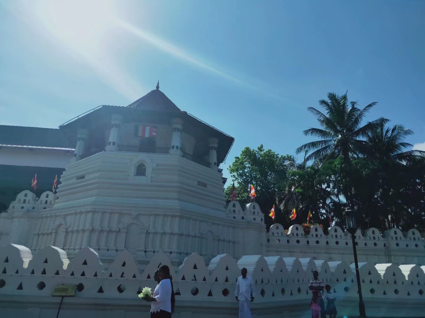 一生必去一次的神奇国度，榴莲白菜价，还有千与千寻里的海上火车