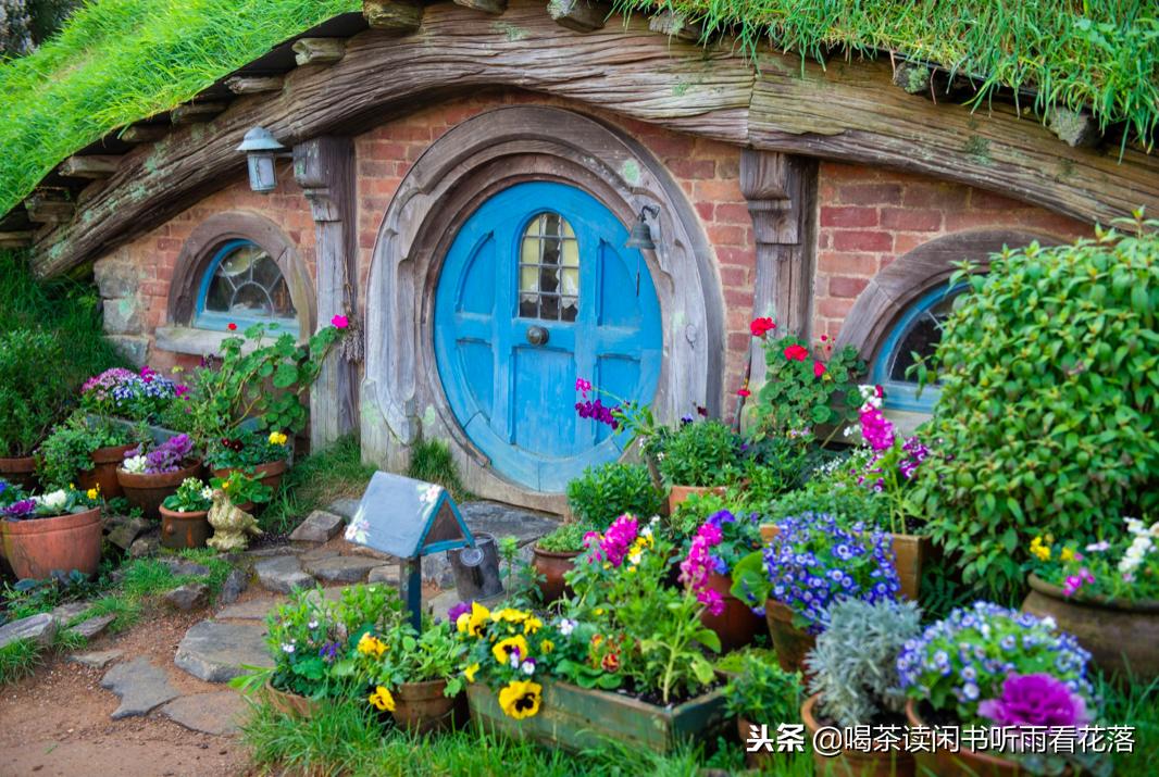 13天自驾新西兰，这个不缺蓝天与绿草的国度无比的热情富有生命力