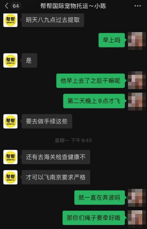 siri金毛狗托运事件,siri金毛狗狗托运事件