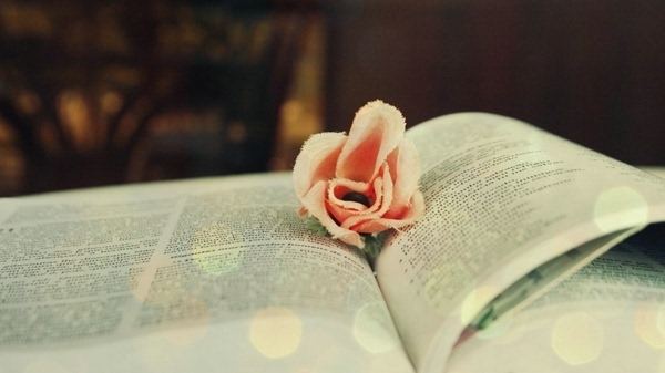 老公进看守所我该不该回娘家,老公进看守所我应该找谁倾诉