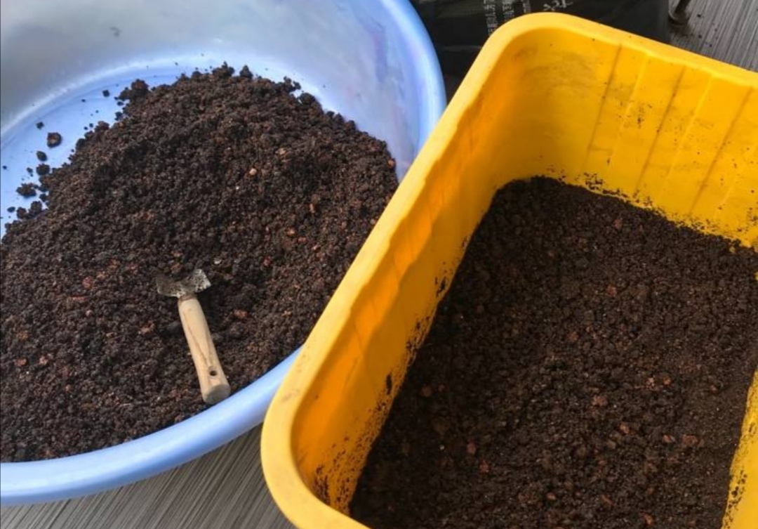 养啥花都好使不花钱的营养土,营养土哪种最好养