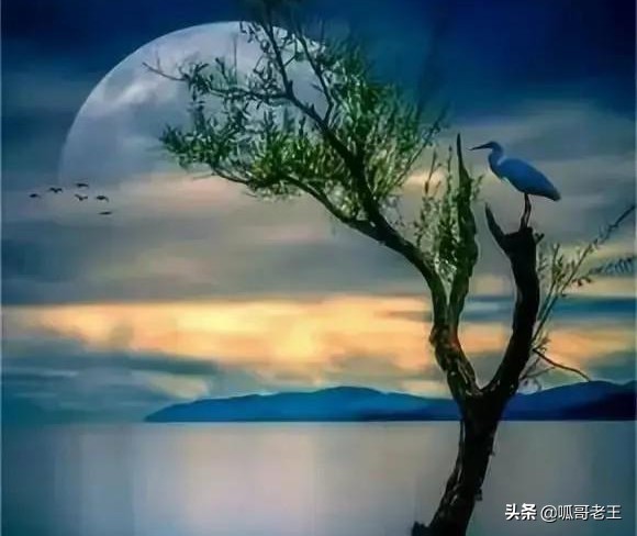 万一做梦，必须幸福