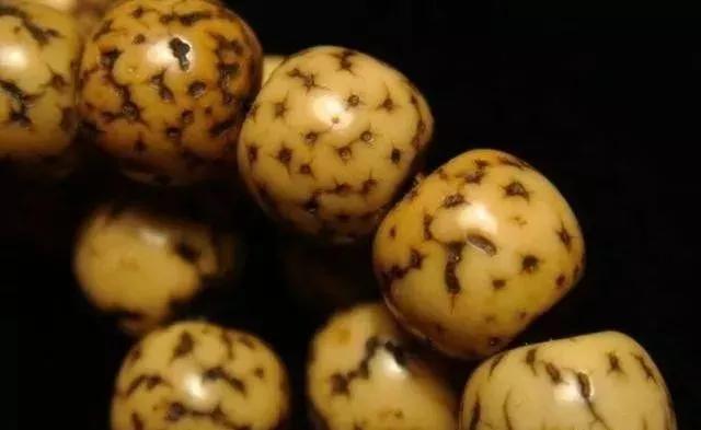 星月菩提如何盘玩成白的,星月菩提奶油黄怎么盘