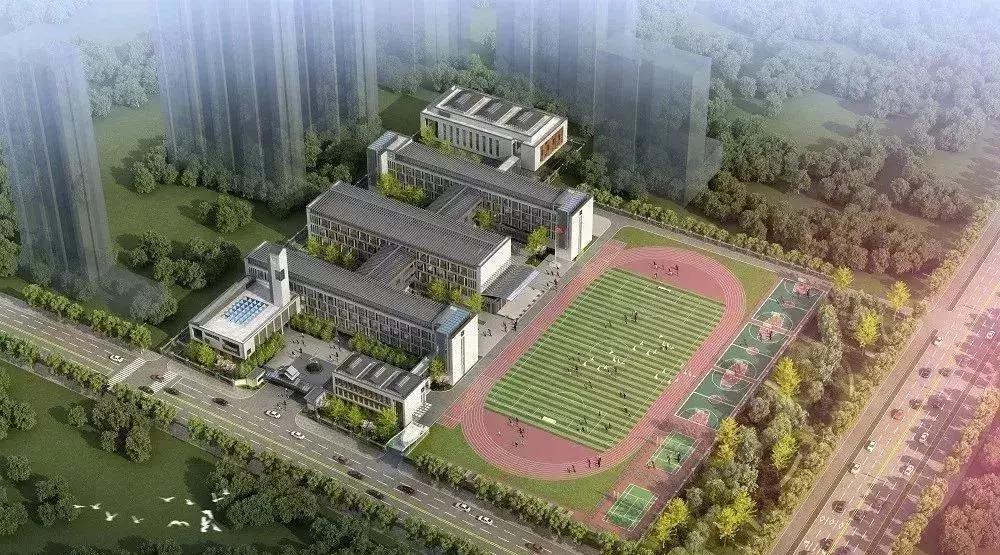 西安挤破头都想进的小学有哪些,南京家长挤破头想上的初中