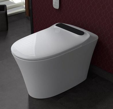 最大智能马桶代工厂,智能马桶工厂现状