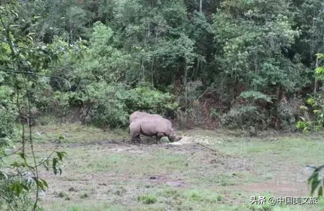 164家云南景区门票大全！