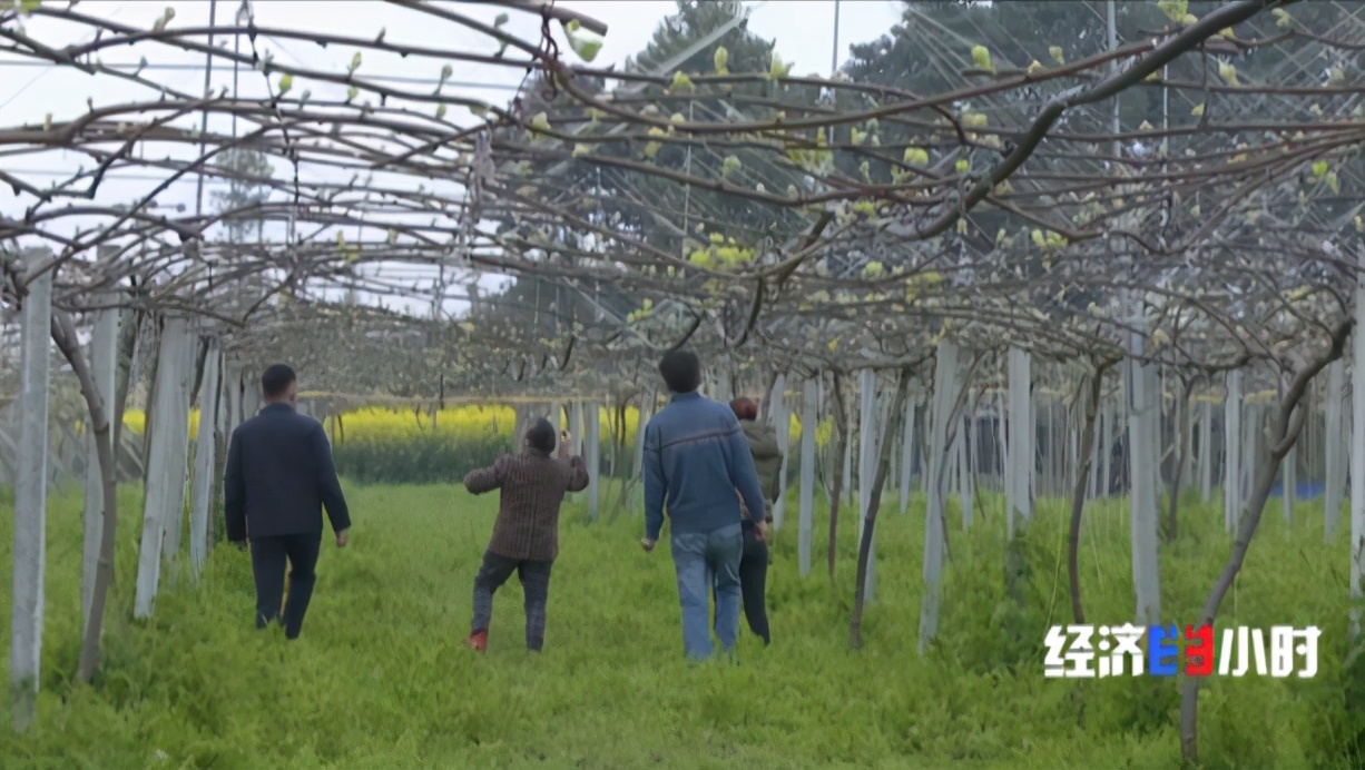 薪酬高好就业的专业,薪资高有发展前途的好专业