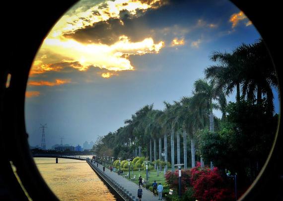 鸽群飞翔视频,鸽群飞翔