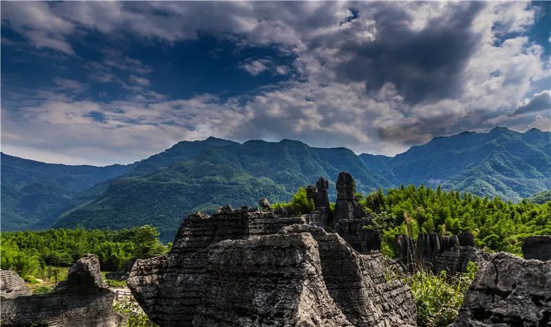 四川宜宾市长宁县竹海新闻,天府竹海景点