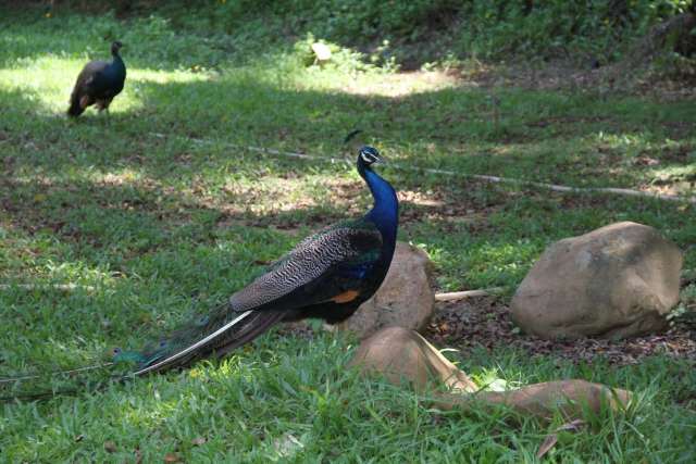 东莞市东城区唐拉雅秀酒店,东莞唐拉雅秀酒店团购订房