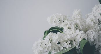 端午节需要的饰物与用品,好用又便宜的端午节礼品