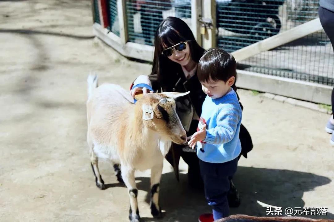 芝加哥周边小城旅游攻略,芝加哥旅游路线地图