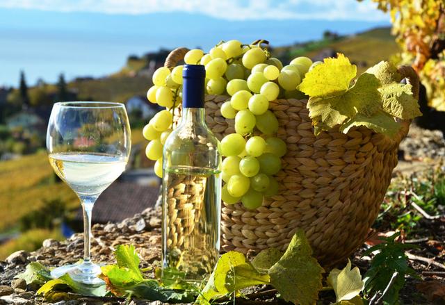 法国波尔多酒庄,法国波尔多