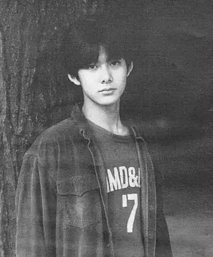 帅过金城武,柏原崇帅还是陈冠希帅