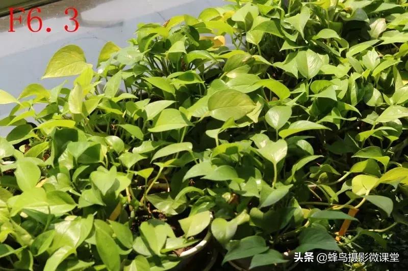 镜头有灰会进cmos吗,镜头有灰有影响二手价格吗