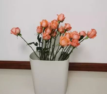 鲜花到了隔多久醒花最合适,刚收到的花蔫了怎么处理