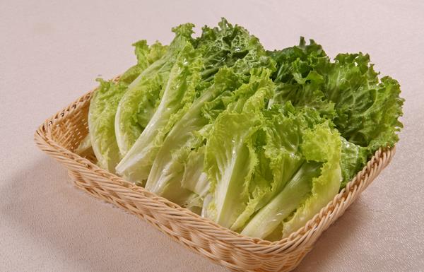 生菜的种植时间和种植方法,生菜的种植技巧和种植时间