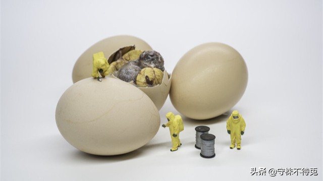 24个冷知识真实有趣的存在,22个有趣又奇怪的冷知识