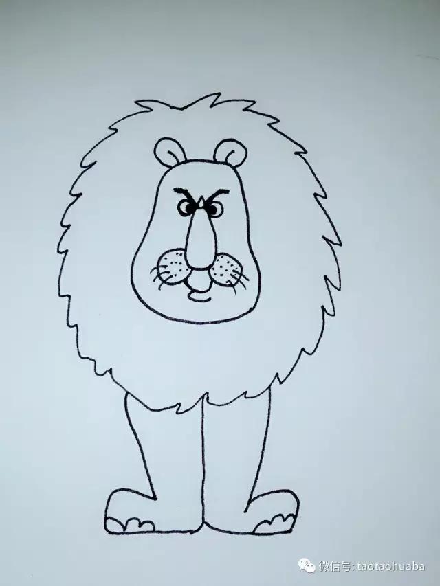 可爱的大狮子,美丽的大狮子