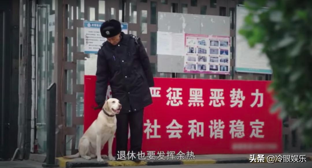 小动物永远都幸福,小动物长得最美也最可爱