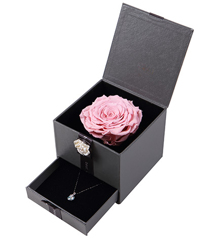 12星座女最喜欢什么花,追12星座女生送什么花