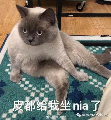 鐤儏蹇冪悊鐤忓瑙嗛,鐤儏涓嬬殑蹇冪悊鐤忓