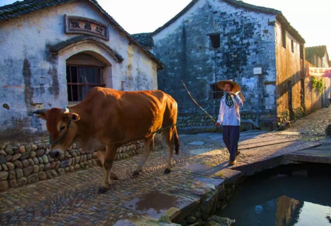 浙江7个江南古镇，给你不一样的冬日柔情~