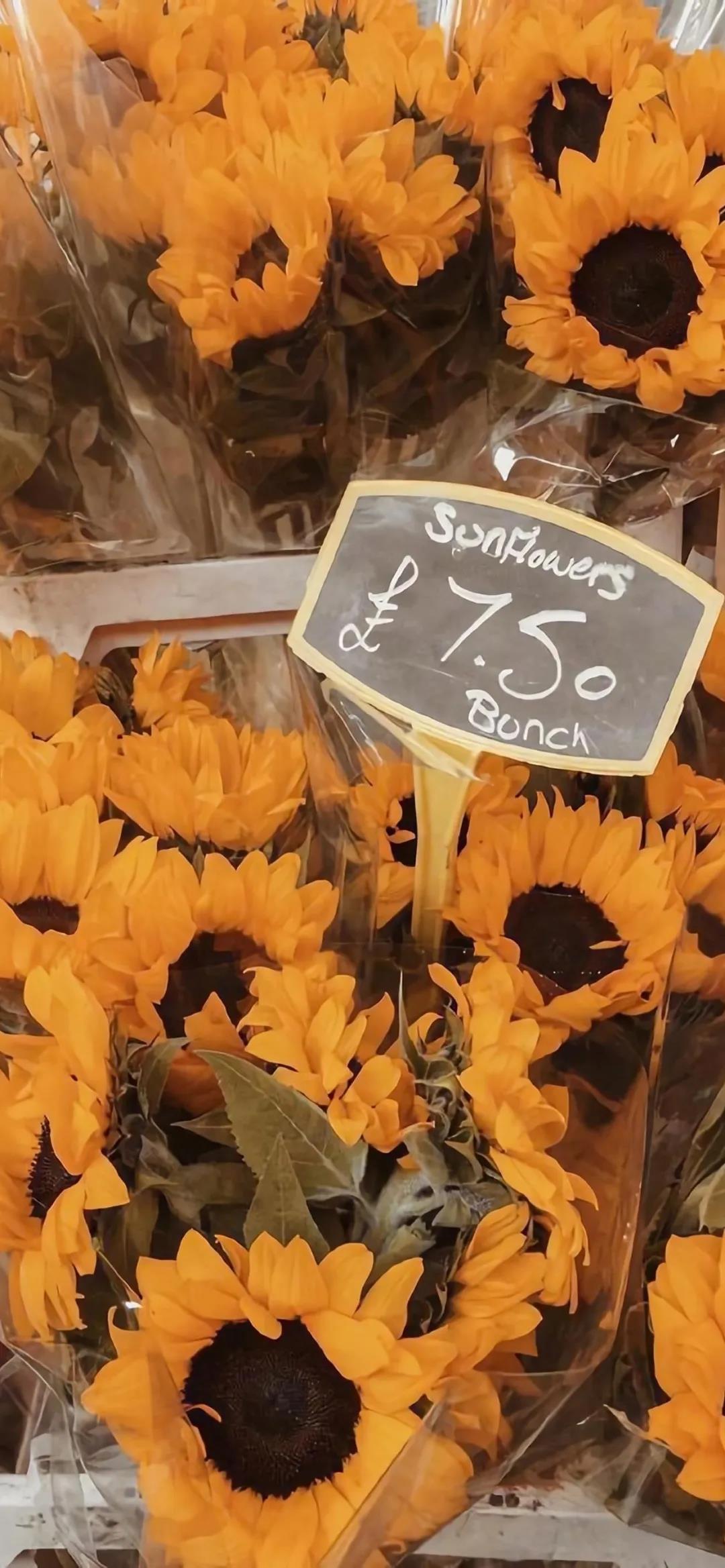 手机壁纸精选好看的养眼壁纸大图,平板壁纸9.7寸高清壁纸简约唯美