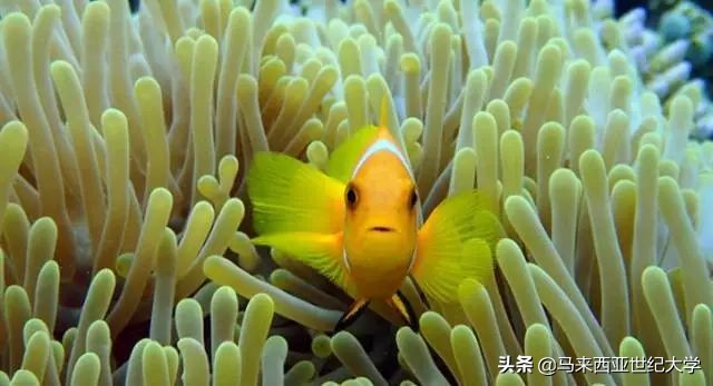 风下之乡海鲜,风下之乡