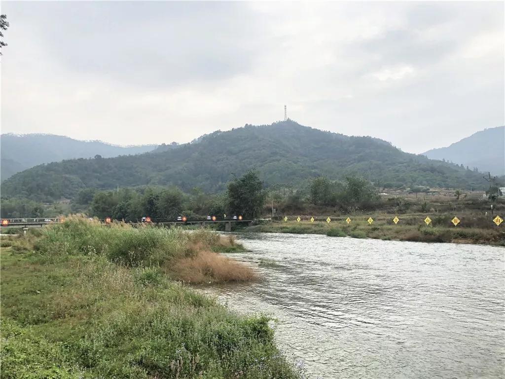 小蜜蜂助力农业增产增收,小蜜蜂脱贫致富案例