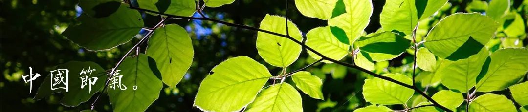 程响等你归来完整版歌词,等你归来程响歌词大意