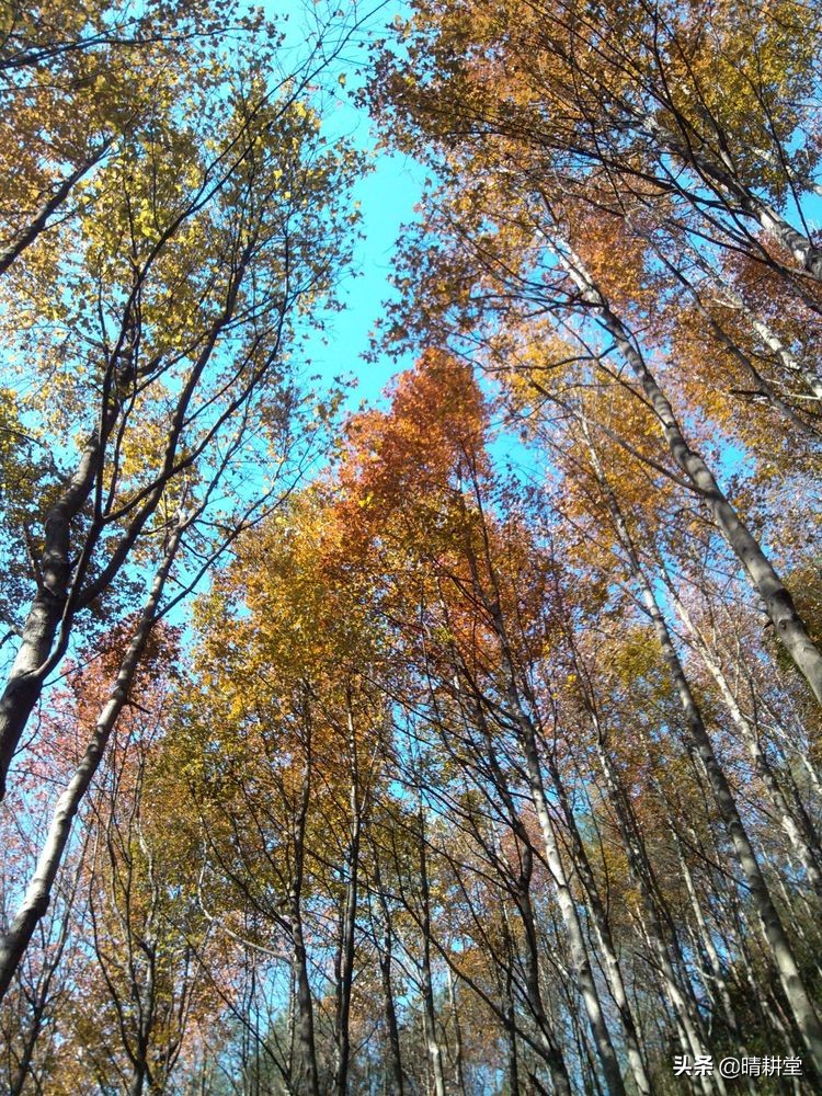 赣州峰山附近一日游自驾游景点,赣州峰山美景