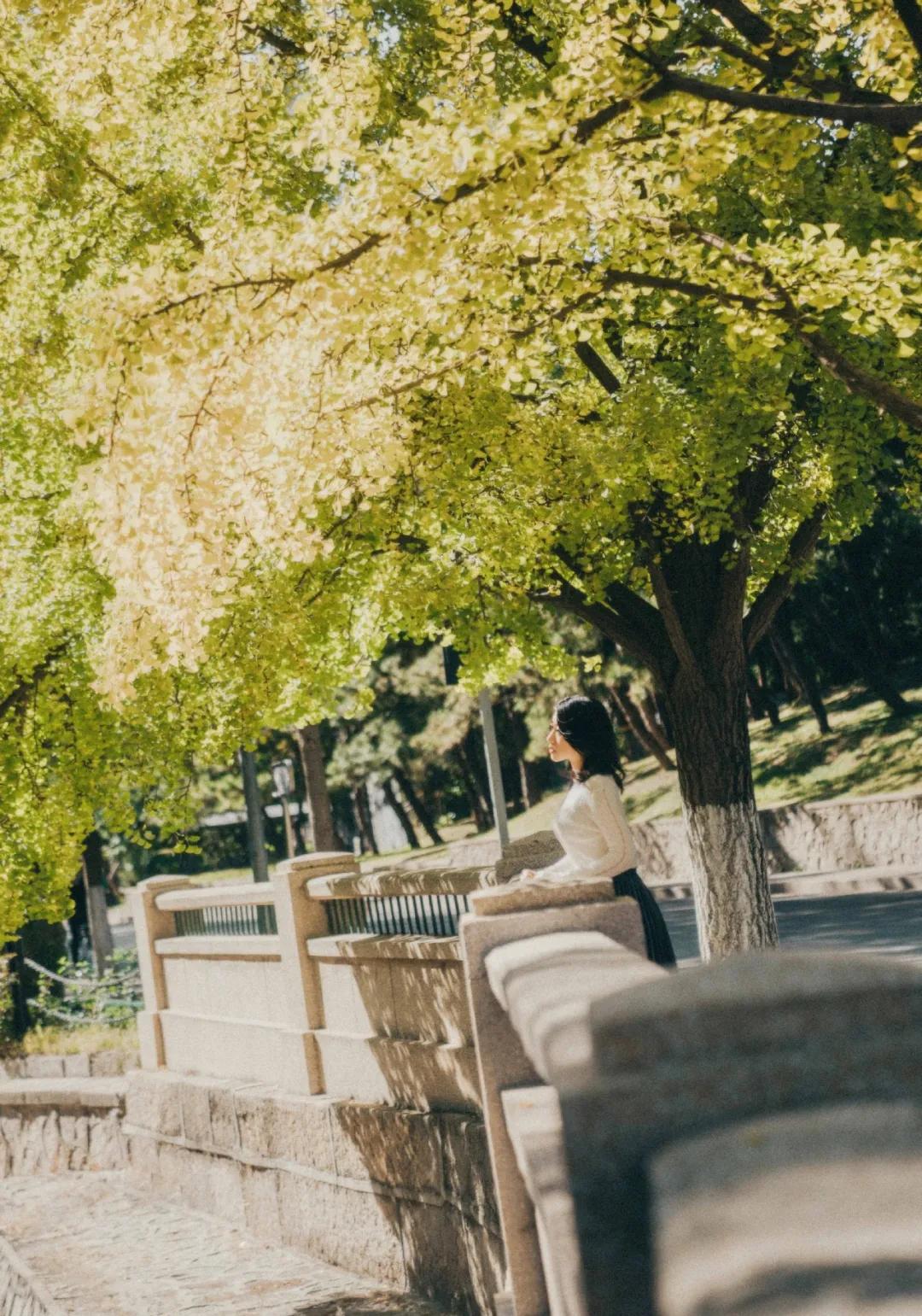 如何考上北大付出怎么样的努力,梦想可以远大但一定要脚踏实地