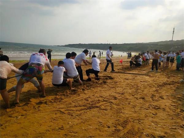 缁堟垚鍥介檯,鍛ㄦ姤缁勭粐鏋舵瀯