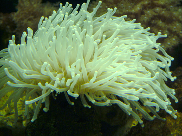 成都海底世界极地海洋馆照片,成都最出片的海洋馆