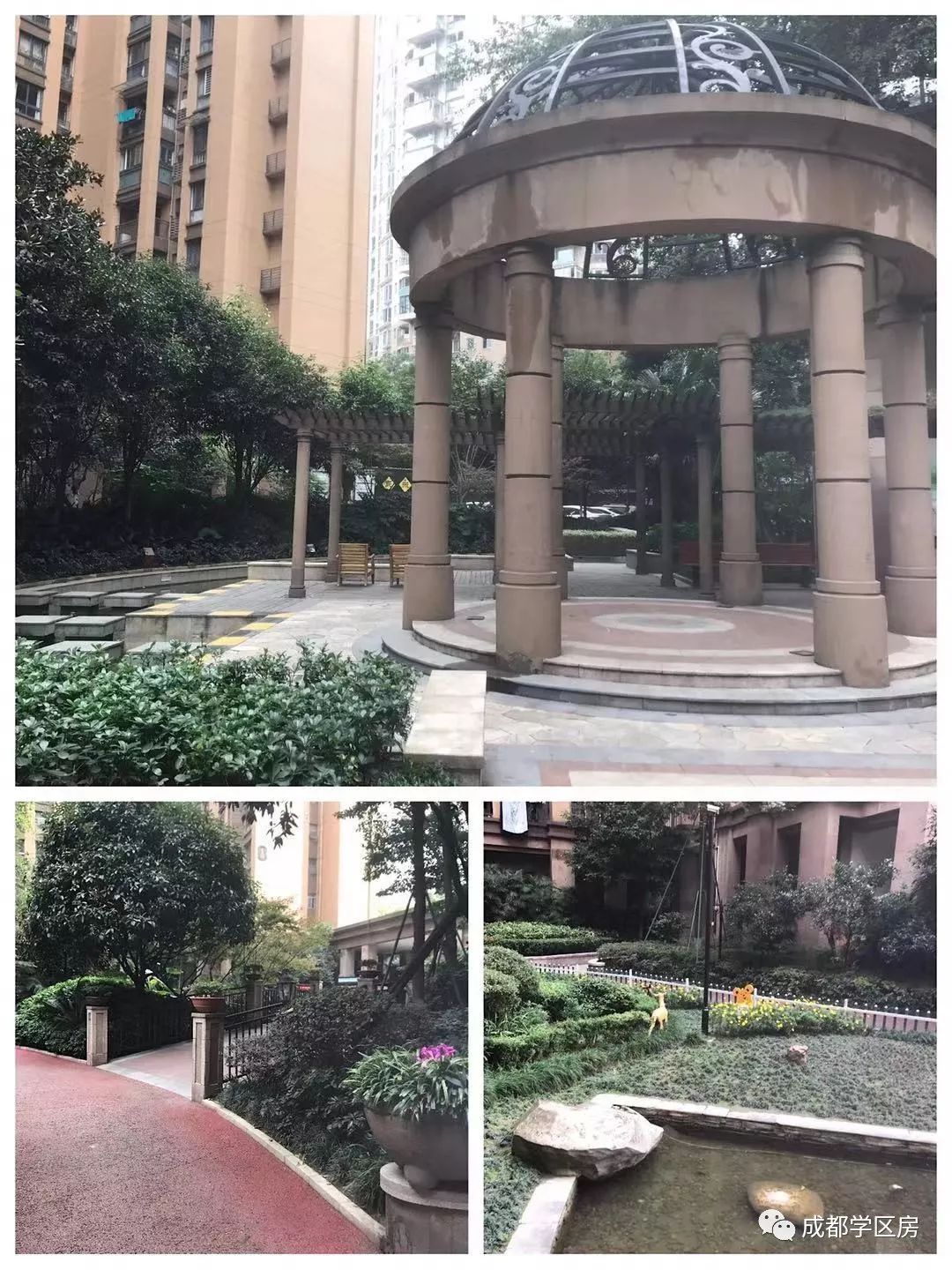 和泡小非常像的一个分校之最全盘点！​