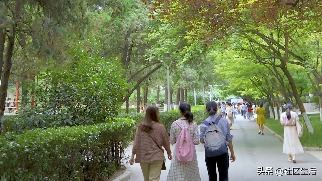 「教育社区」艰苦磨砺，勤思创新，戴氏教育让学习不再枯燥