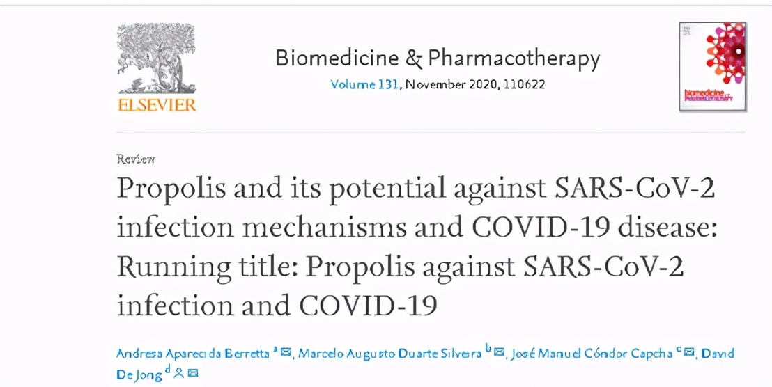 它是蜜蜂世界的“消毒剂”，今天，又将造福全人类