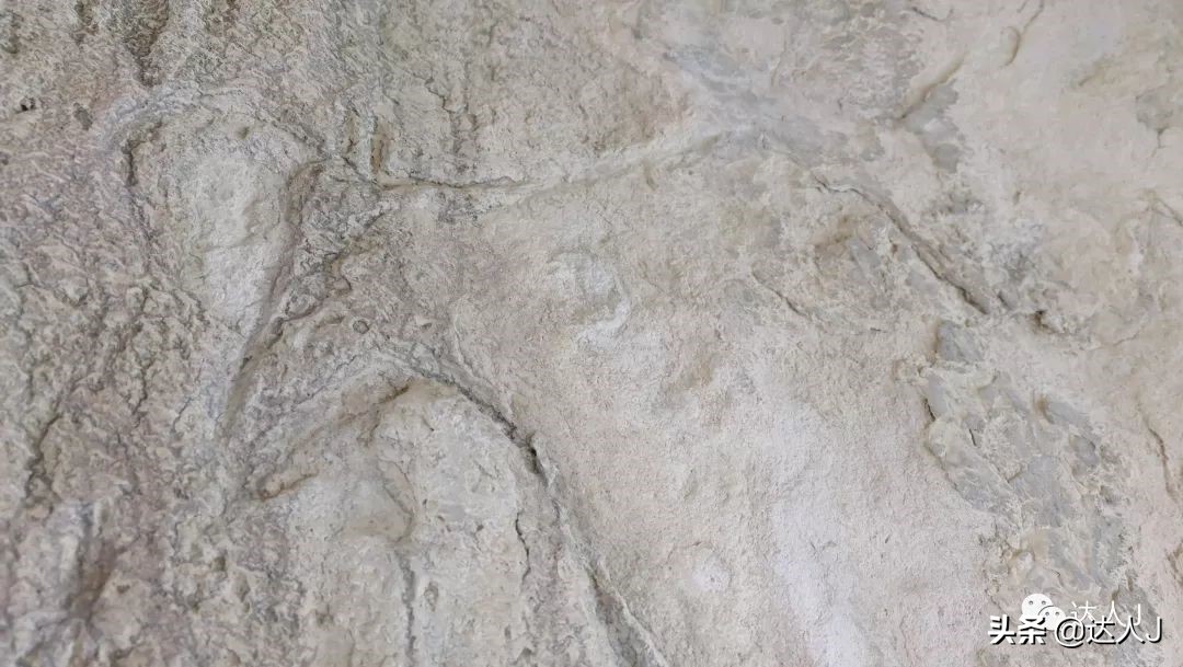 我的旅行日记坦桑尼亚,我的旅行日记自驾新疆游