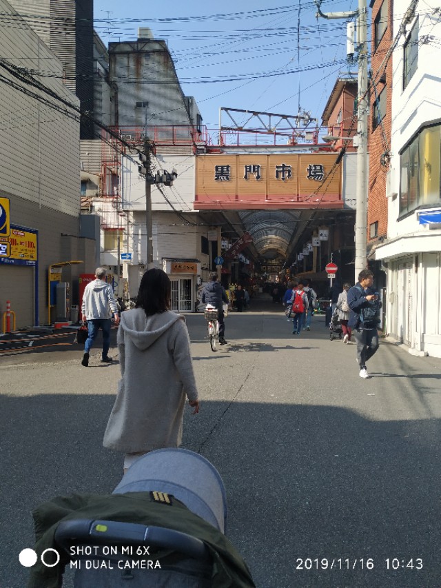 3月底日本关西8日游攻略,日本关西旅游攻略七日游