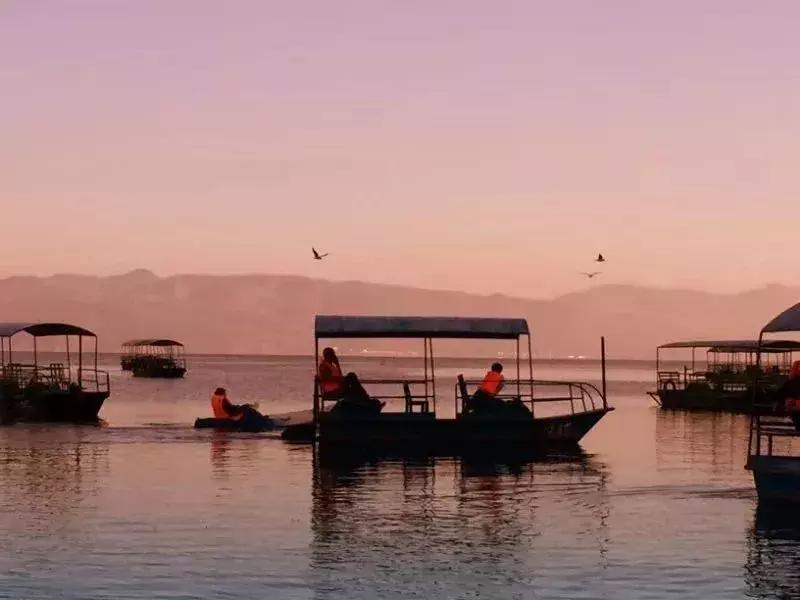 手机摄影作品集大全大图,手机摄影人像优秀作品图