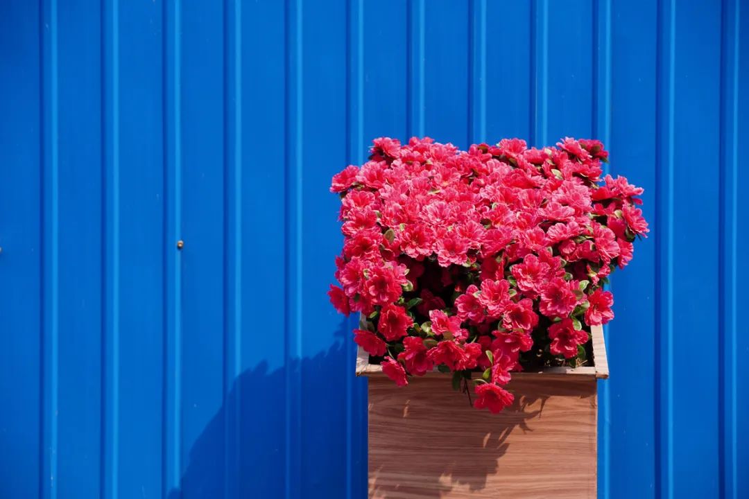 最值得入手的501.8镜头,501.2镜头值得购买吗