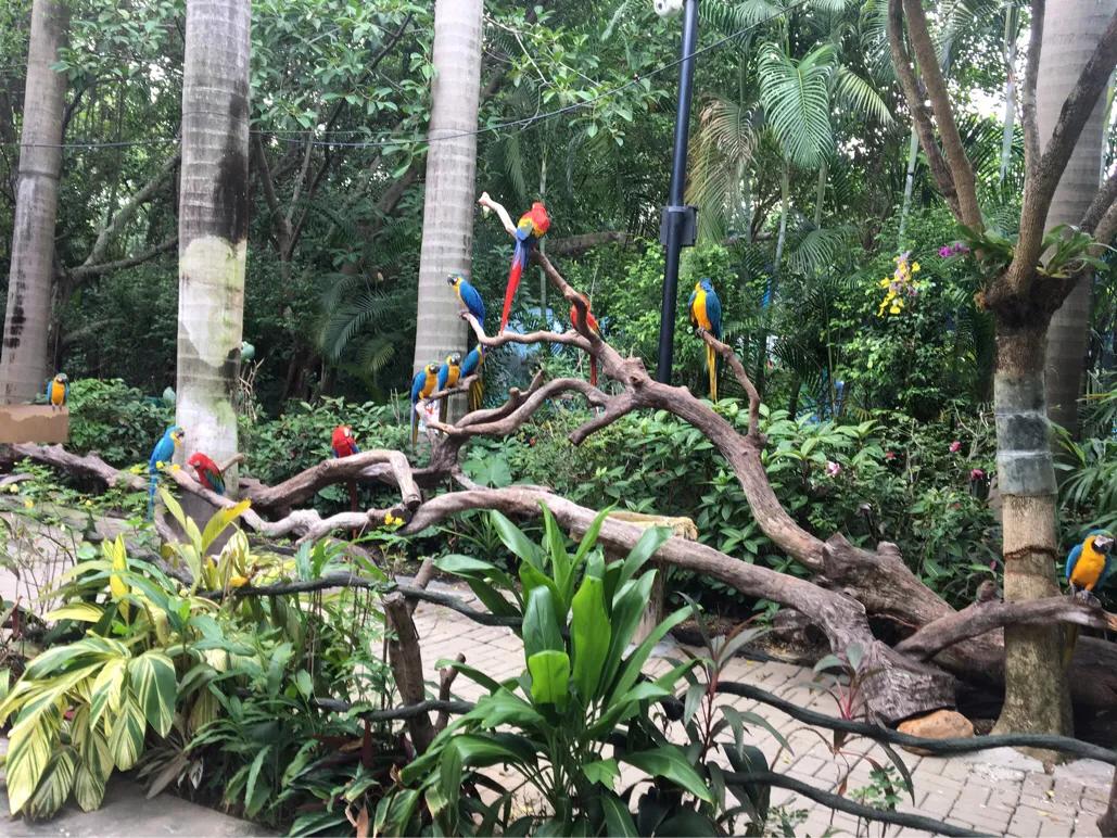 长隆攻略亲子游三天住什么酒店,厦门游玩攻略天空之城