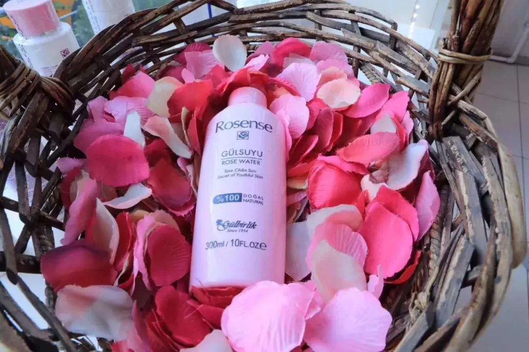 环球旅行我学会了什么,环球旅行一年