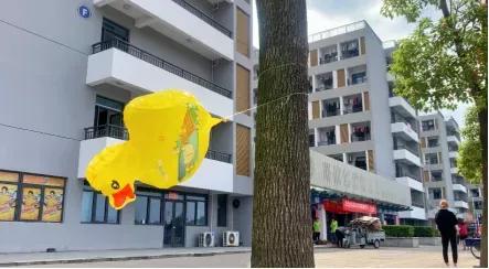 江苏省37所高校,四十六所高校